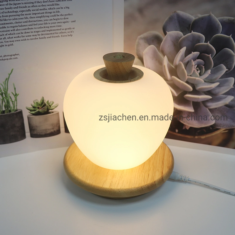 CE RoHS Apple Lamp USB LED Wooden Night Light with Touch Switch